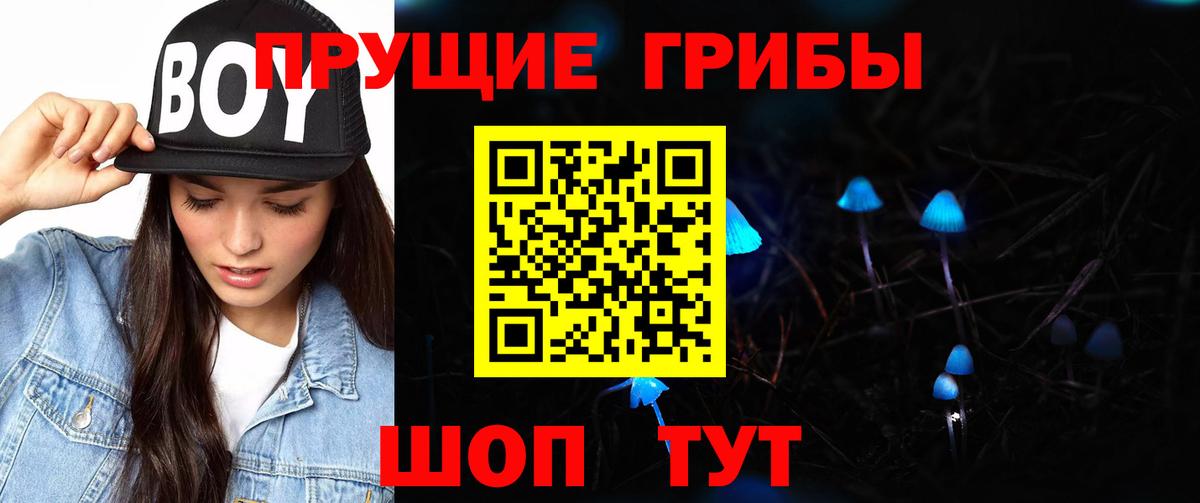 Тимашёвск  Псилоцибиновые грибы мухоморы  цены   Вход с VPN 