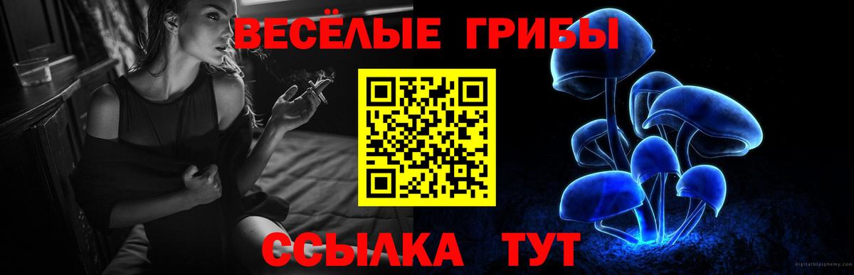 Галлюциногенные грибы Cubensis Тимашёвск